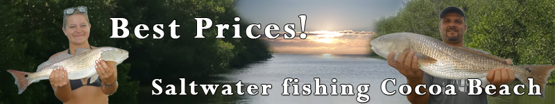 Affordable fishing and dolphin tours in Cocoa Beach.