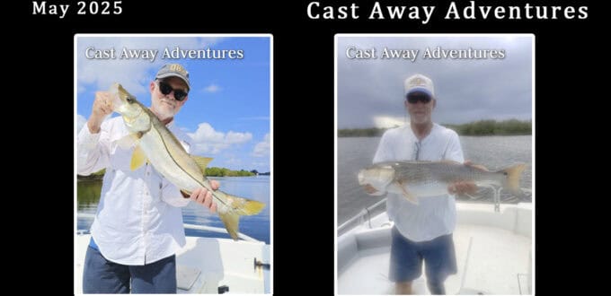 May with Cast Away