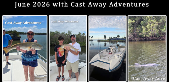 Fishing charters and dolphin tours in Cocoa Beach
