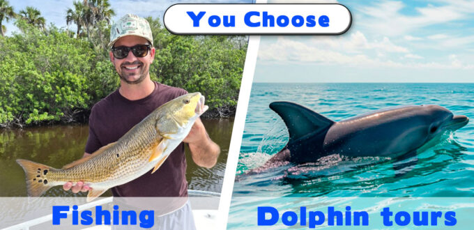Fishing charters and dolphin tours