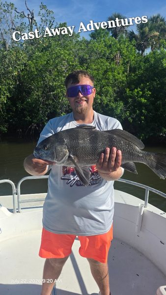 Black drum, always up for a fight.