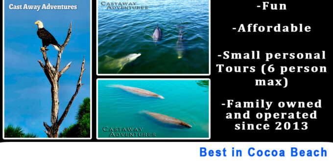 Best dolphin and manatee tour in Cocoa Beach.