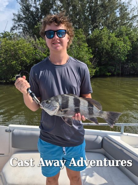 found some schools for black drum.