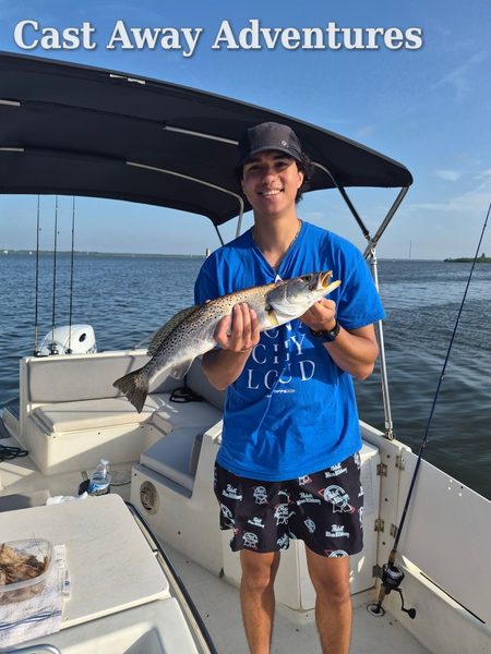 awesome speckled sea trout.