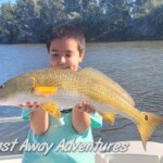 Amazing redfish caught on a fishing trip with Cast Away Adventures, family-friendly outdoor activity on a scenic waterbody in Florida.