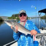 Caught a shark on a fishing trip with Cast Away Adventures, enjoying a sunny day on the water with family and friends in Florida. Expert fishing guides offer exciting angling experiences.